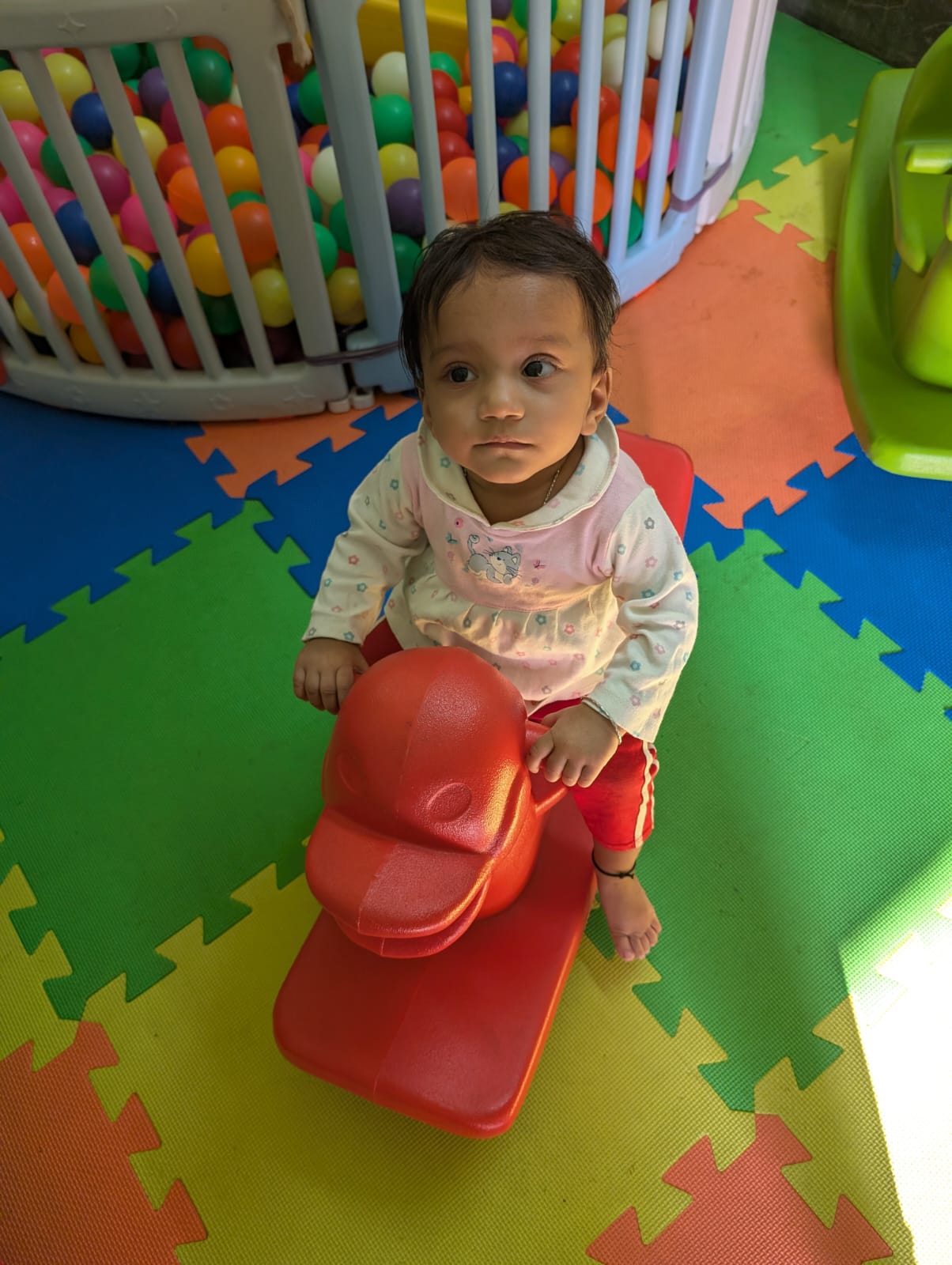 file - 2025-11-24T120903.614.jpeg